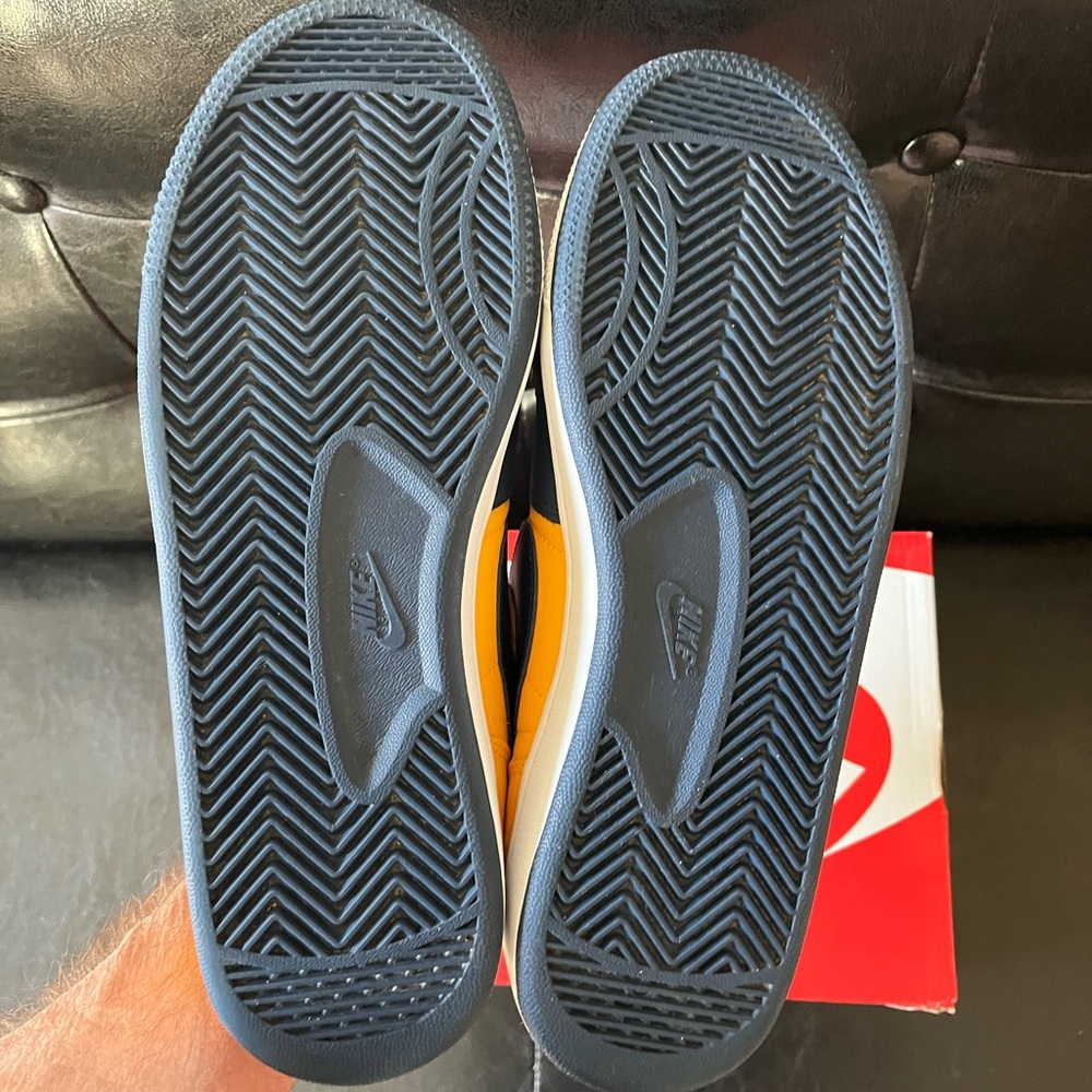 Nike Terminator Low ‘Michigan’ - Picture 6 of 8